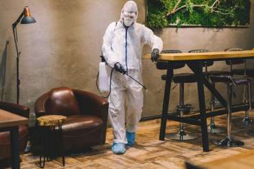 8 Easy Methods To Prevent Pest Infestations